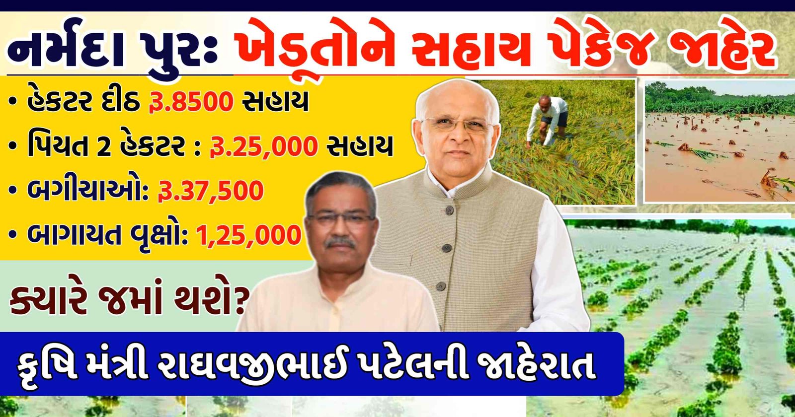 Gujarat Rain Relief