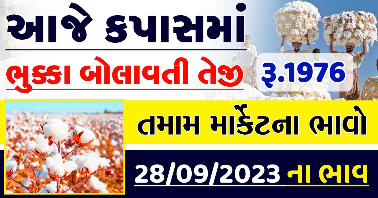 kapas bhav today rajkot