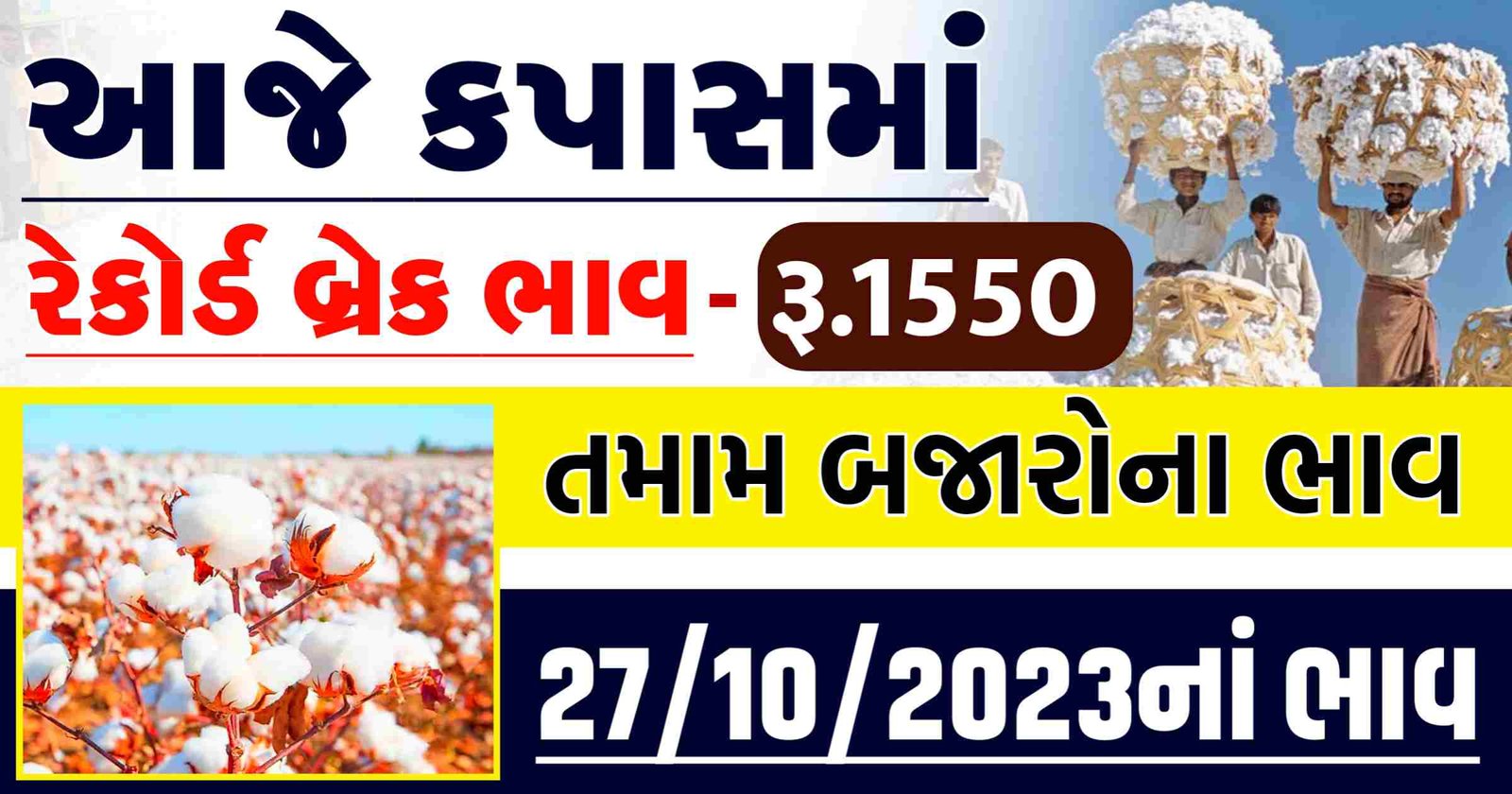 kapas bhav gujarat