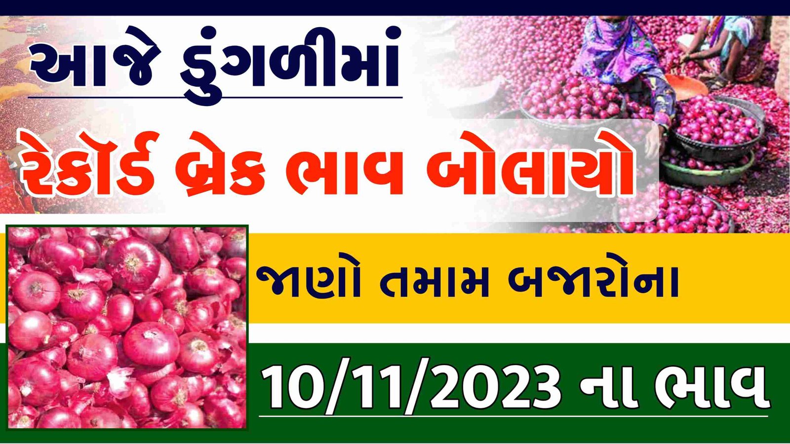 dungali price in gujarat