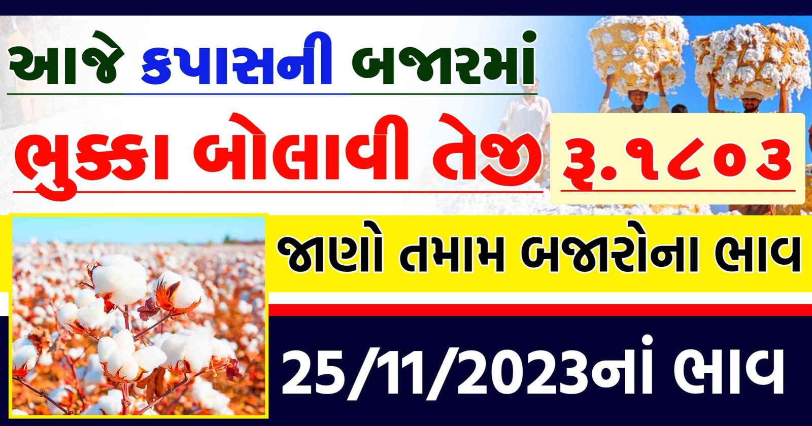 kapas price in jamnagar