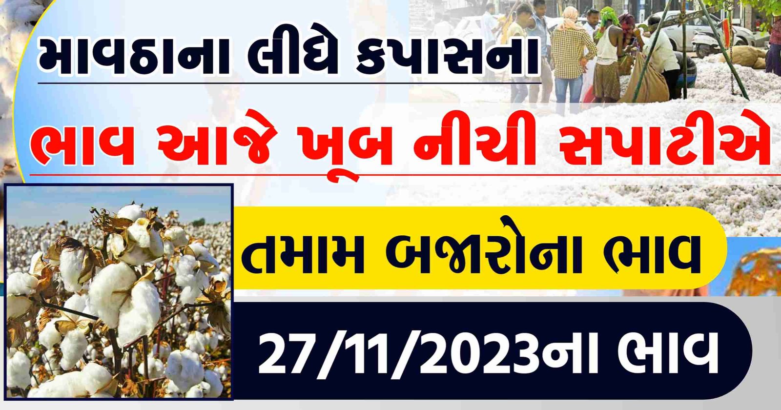 kapas price 20kg, kapas price in gujarat, kapas price par kg, kapas price in gondal, kapas price in rajkot, kapas price in junagadh, kapas price in jamnagar, kapas price 1kg, kapas price par kg today, cotton market price today, cotton price in gujarat, cotton price in gondal