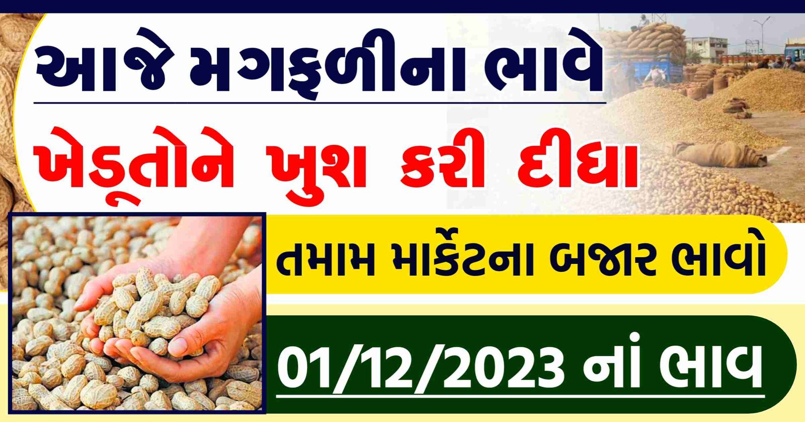 magfali price in gujarat