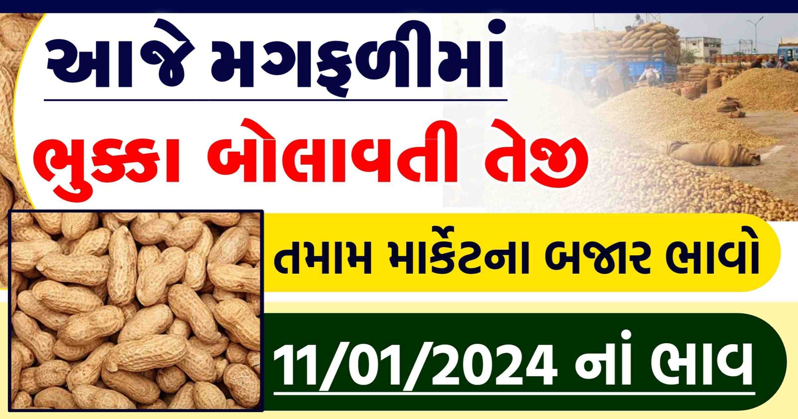 રાજકોટમા મગફળીના ભાવ