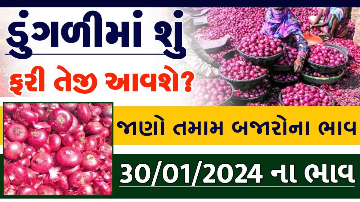 મહુવામાં ડુંગળીના ભાવ