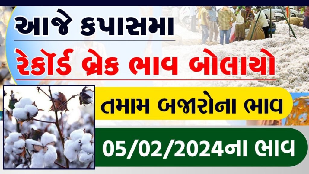 ધોરાજીમાં કપાસના ભાવ