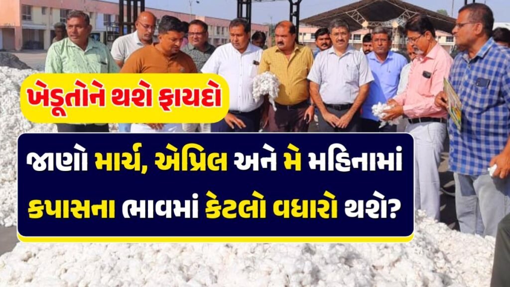 cotton price increase