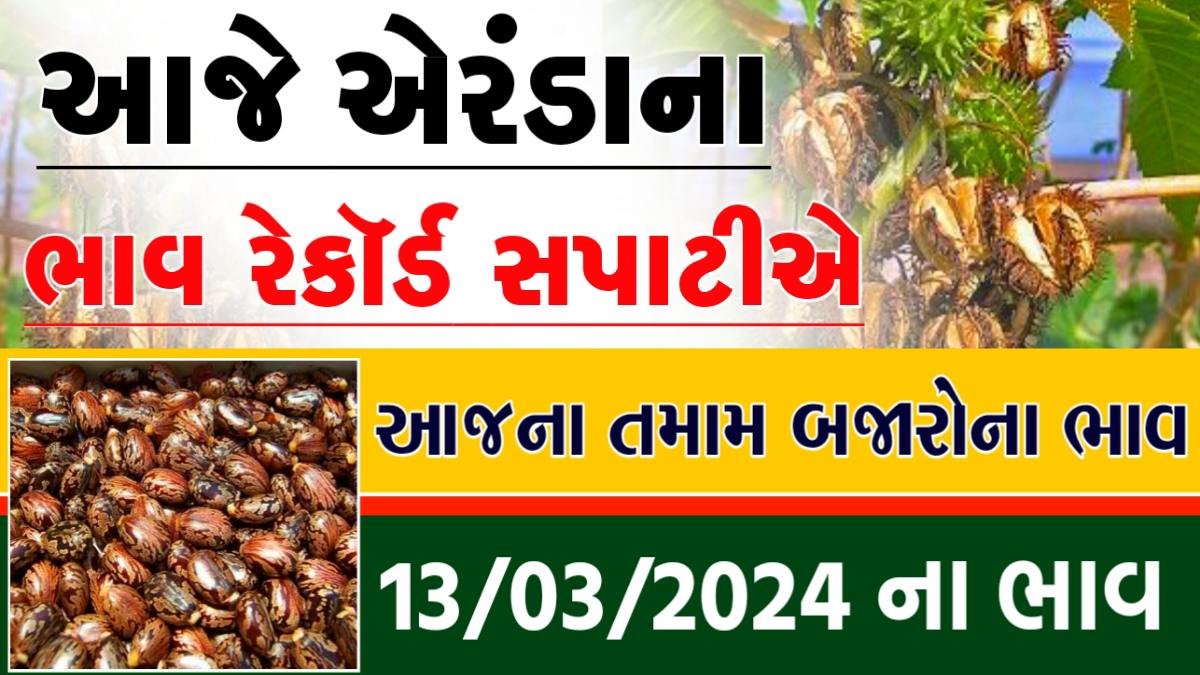 એરંડાના બાજાર ભાવ