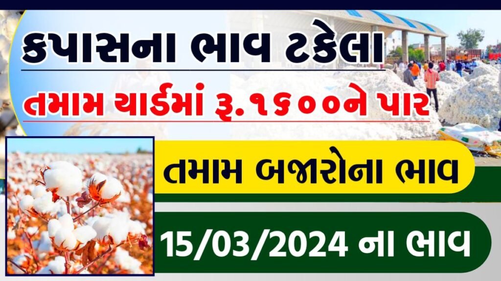 કપાસમાં તેજી