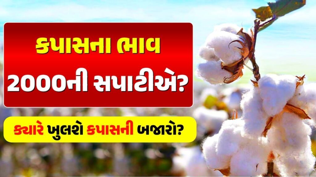 Cotton price