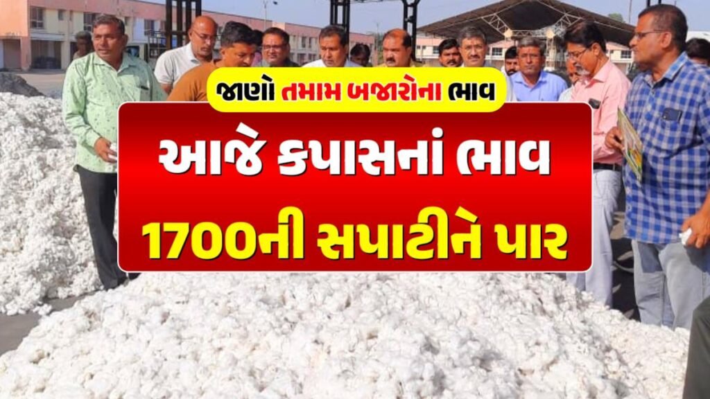 cotton price