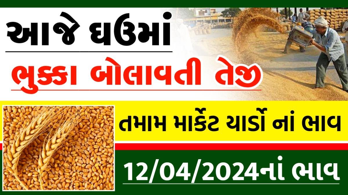 today wheat price