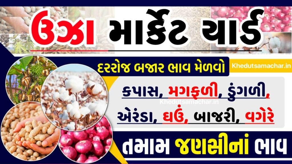 ઉંઝા માર્કેટ યાર્ડના ભાવ