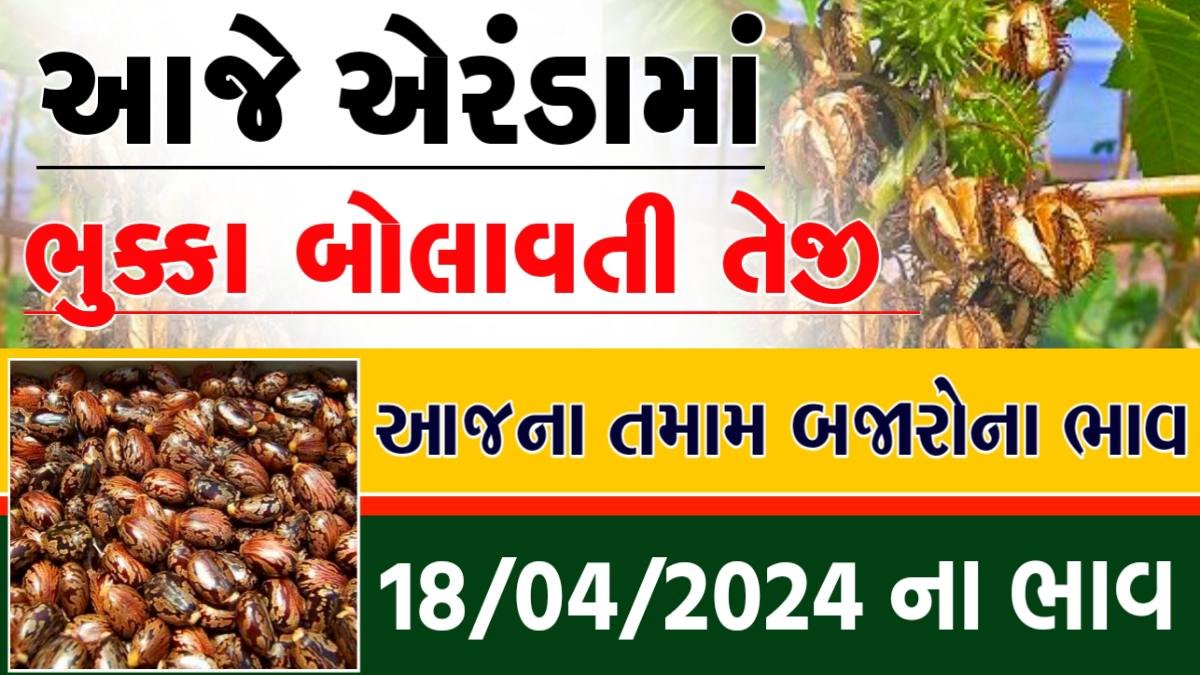 એરંડા ભાવ