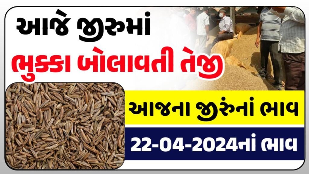 જીરુંના બજાર ભાવ