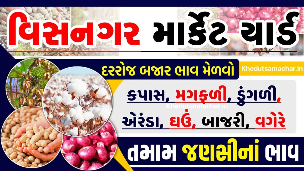 વિસનગર માર્કેટ યાર્ડ