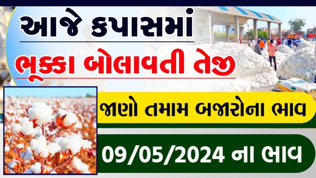 કપાસ ના ભાવ 2024