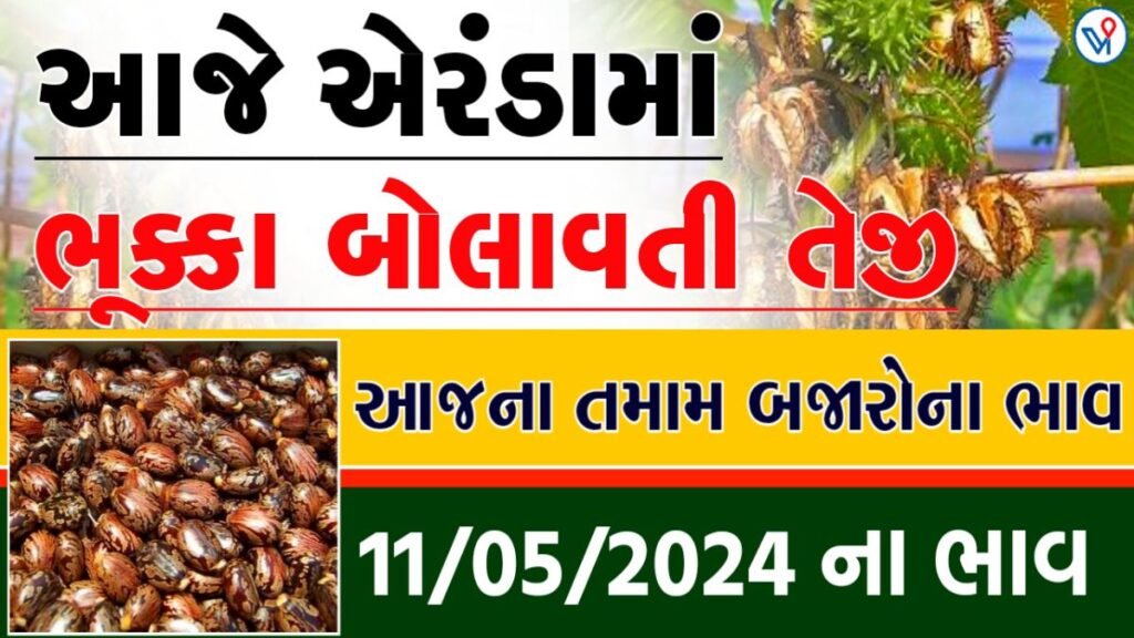 એરંડા ના ભાવ