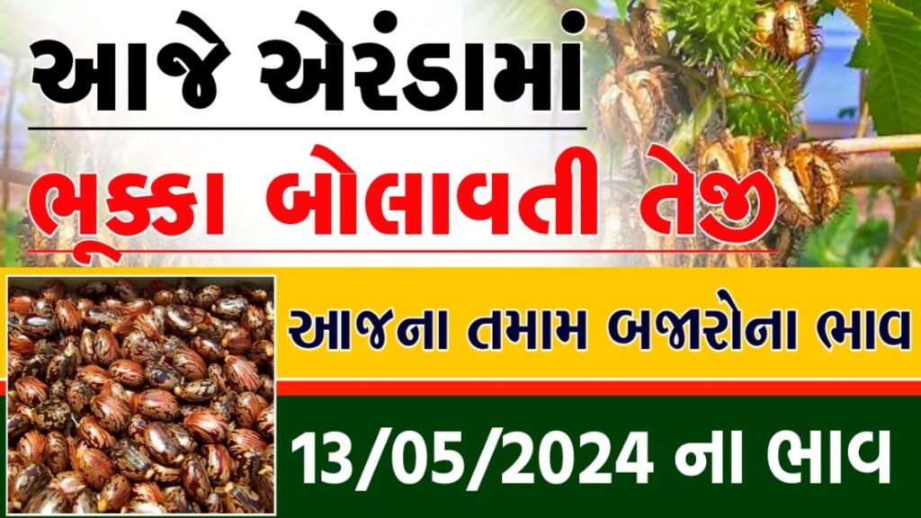 એરંડામાંં તેજી