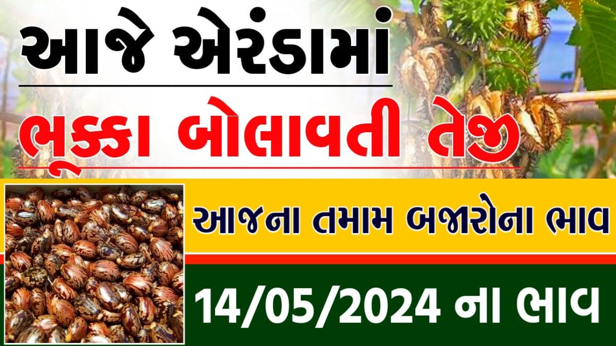 એરંડા