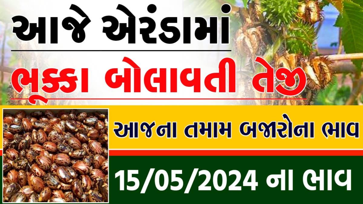 એરંડા ભાવ