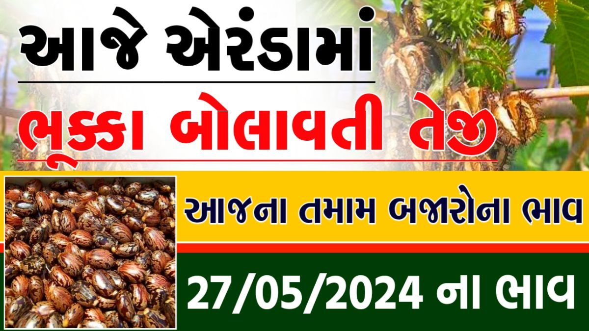 એરંડા ના ભાવ