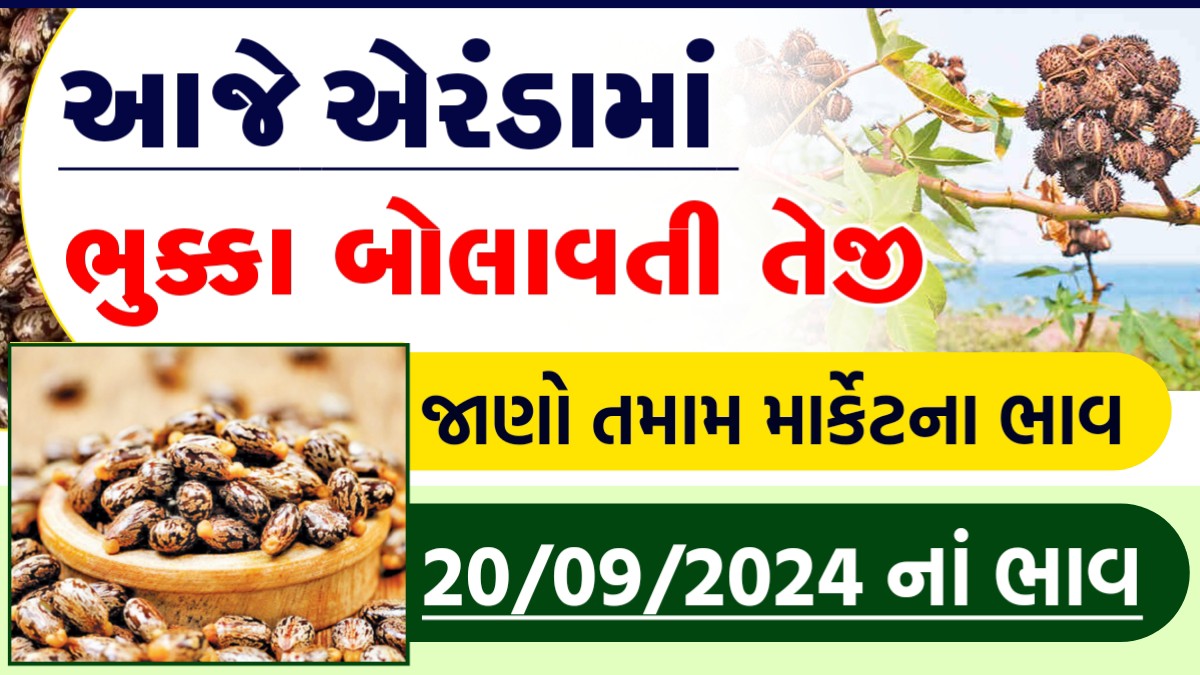 એરંડા ના ભાવ