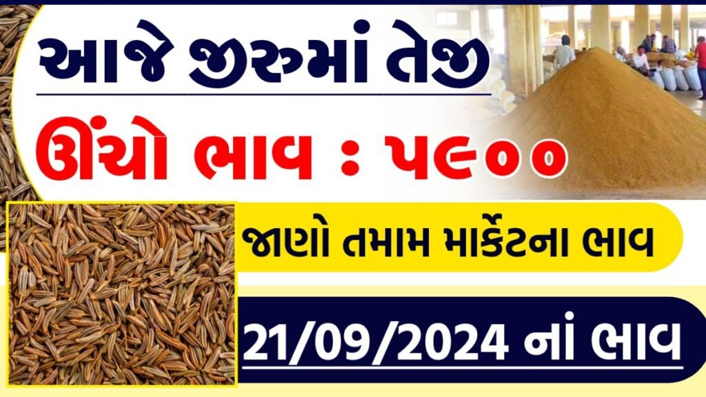 જીરું ભાવ