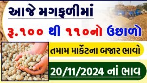 મગફળી ના ભાવ 2024