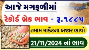 આજના મગફળીના ભાવ