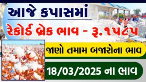 કપાસના ભાવ 2025