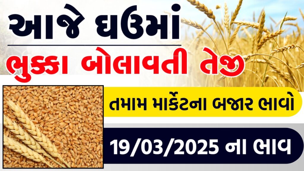wheat price in gujarat