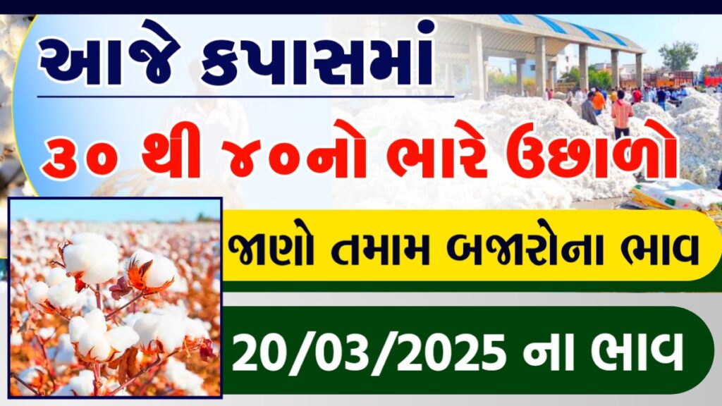 cotton price today