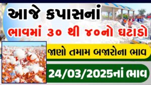 કપાસના લેટેસ્ટ ભાવ