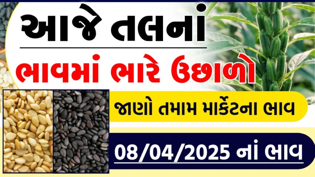 તલના ભાવ આજના