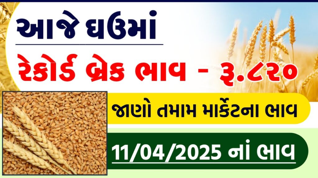 wheat price in gondal
