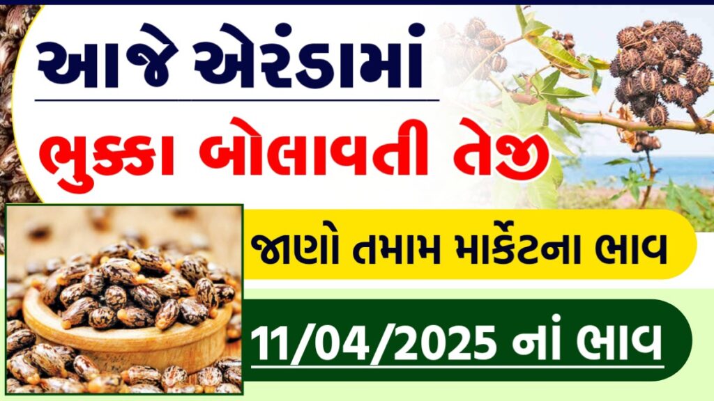 eranda price in gujarat
