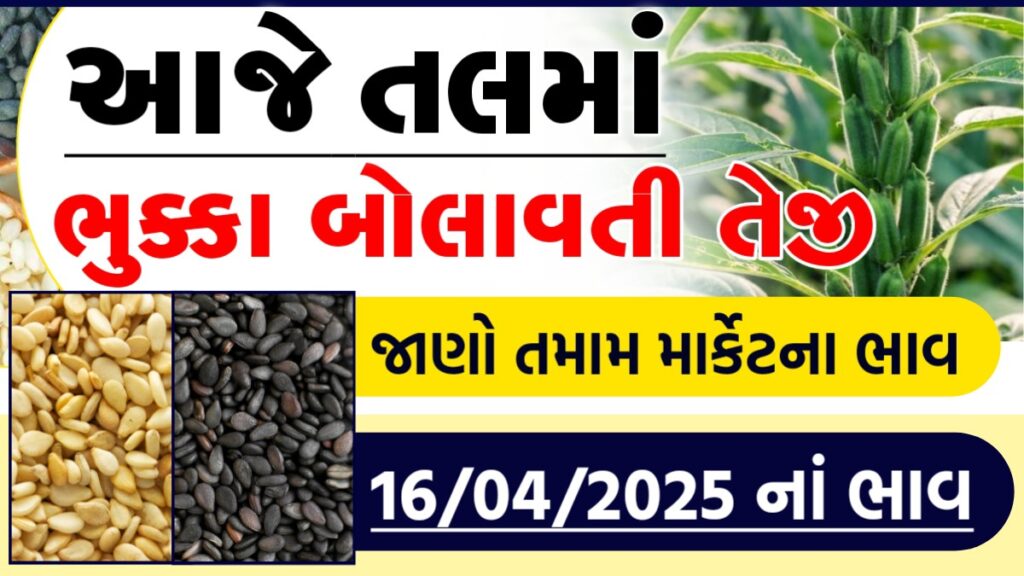 tal no bhav rajkot
