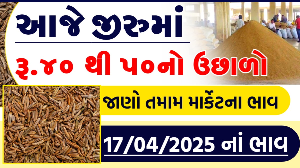 jeeru 1 kg price