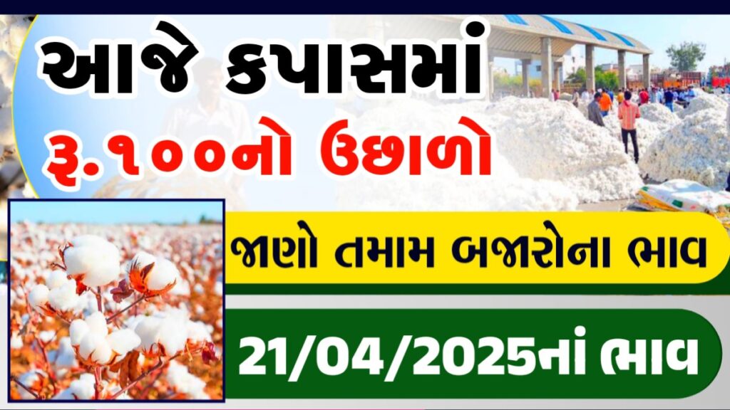 botad cotton market