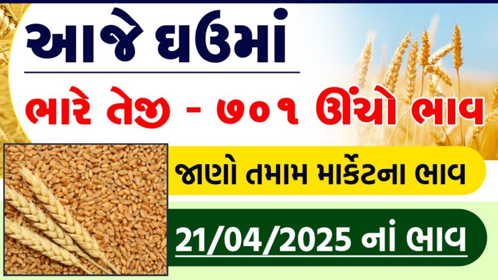 wheat price in mahuva