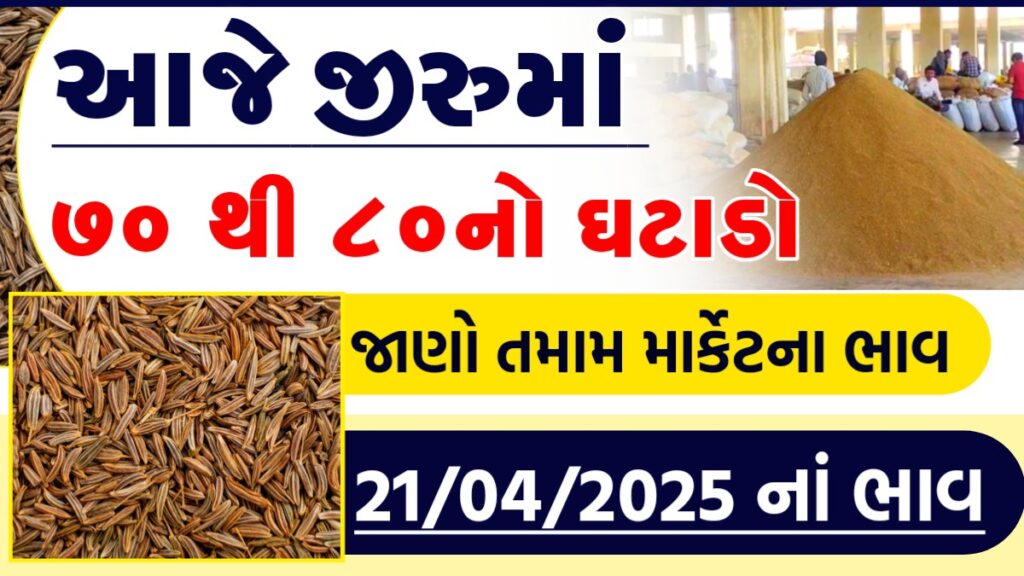 unjha cumin rate
