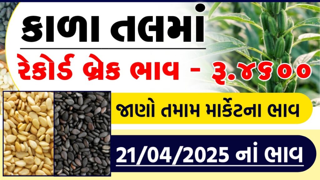 black sesame price