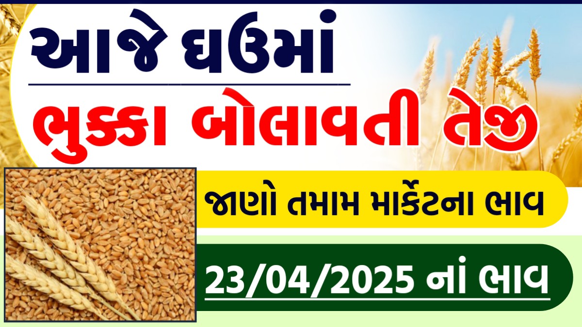 ghav no bhav rajkot