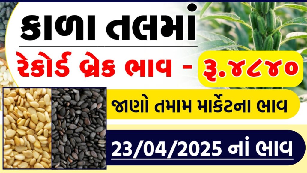 til no bhav rajkot
