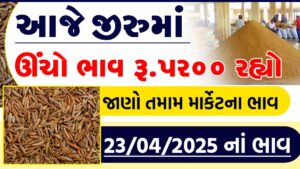 jiru no bhav rajkot