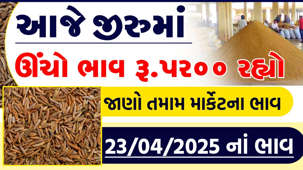 jiru no bhav rajkot