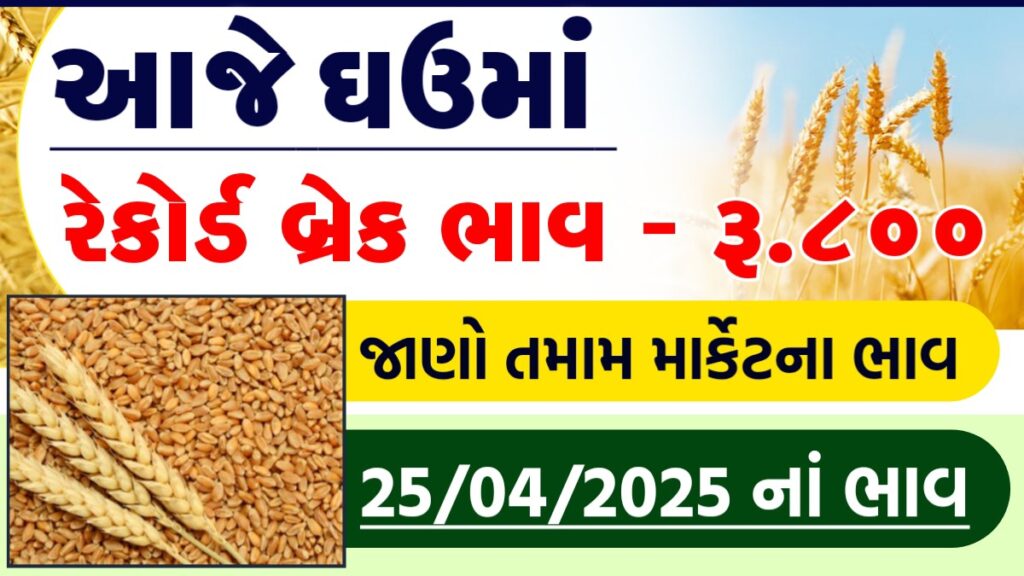 wheat bazar bhav