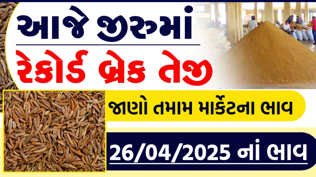 ncdex jeera price today