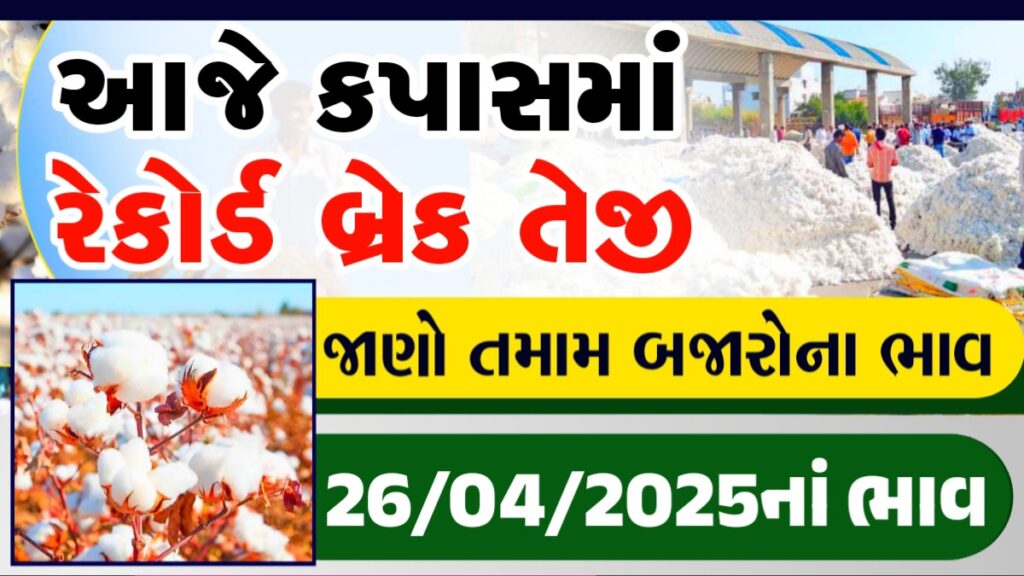 kapas bhav today rajkot